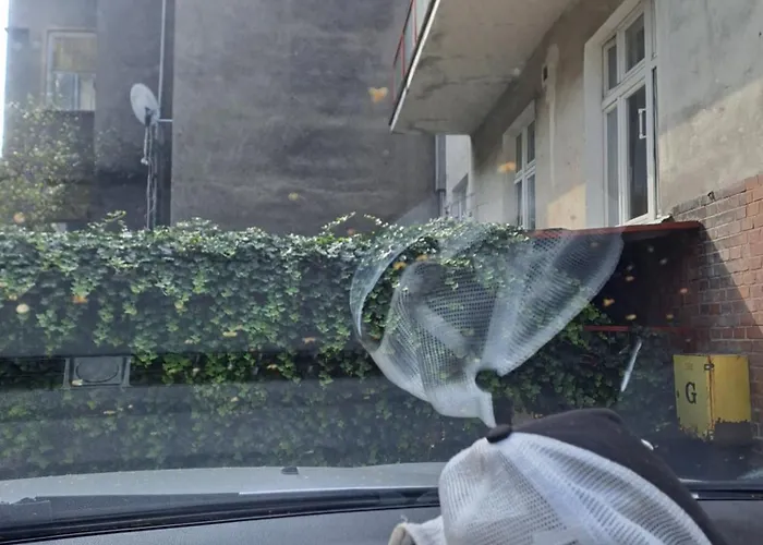 Tylko - 200m Do Plazy, Mariana Mokwy 4a * ソポト